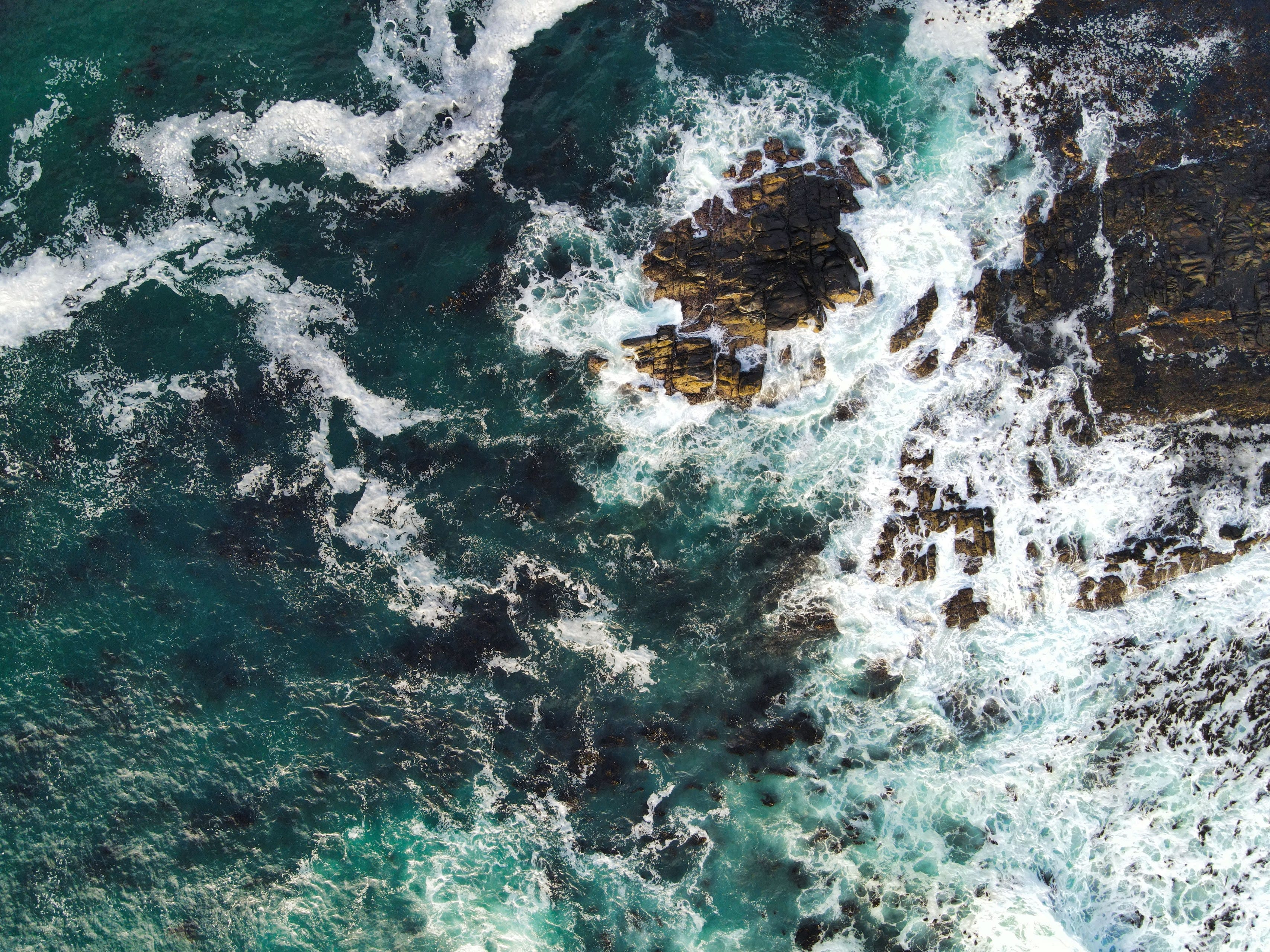 Coastal Perspective