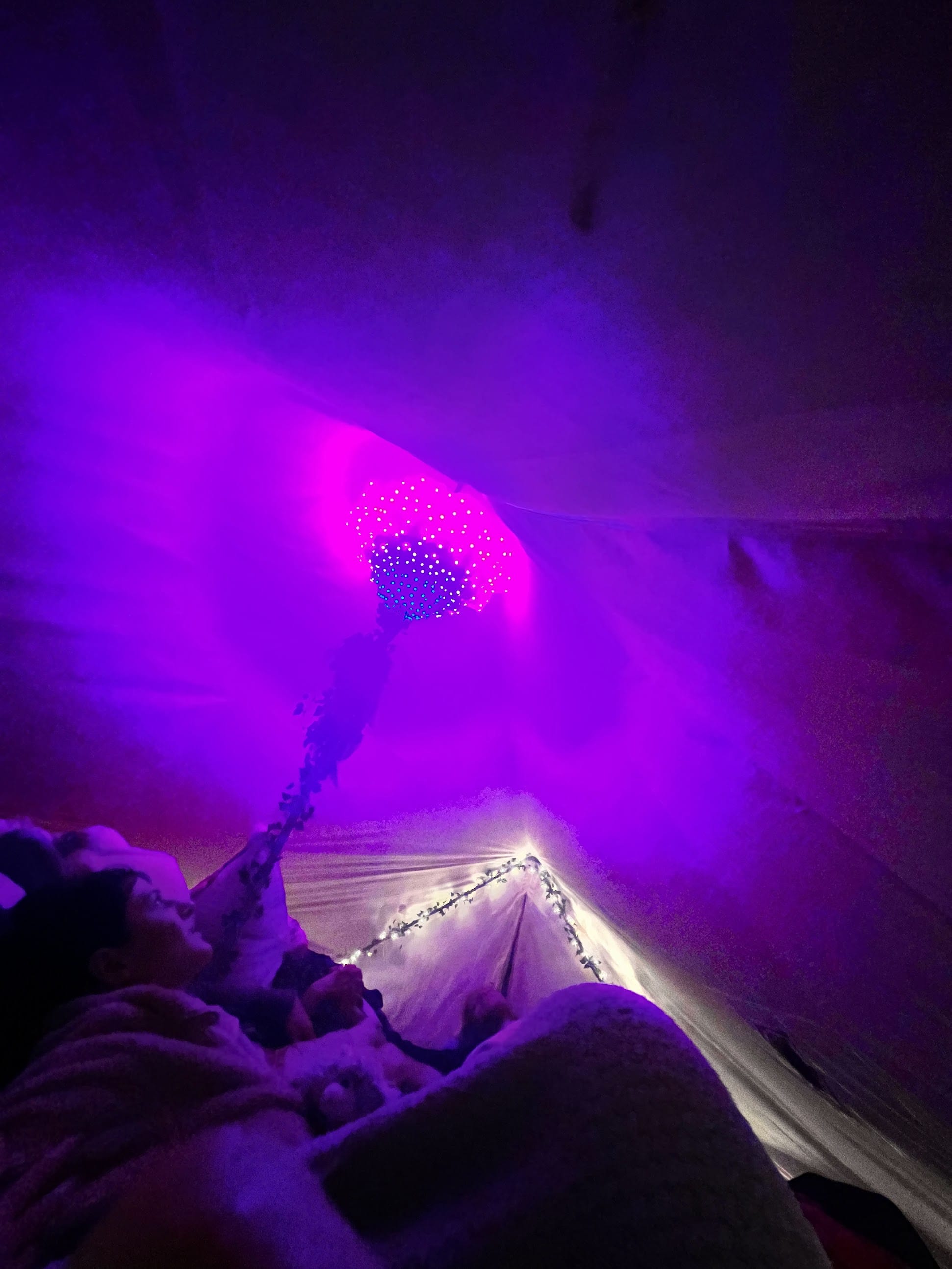 Inside the Dome